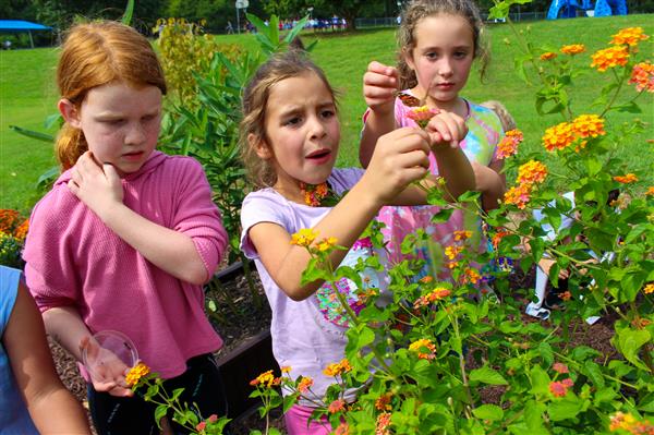 students in a flower garden with butterflies